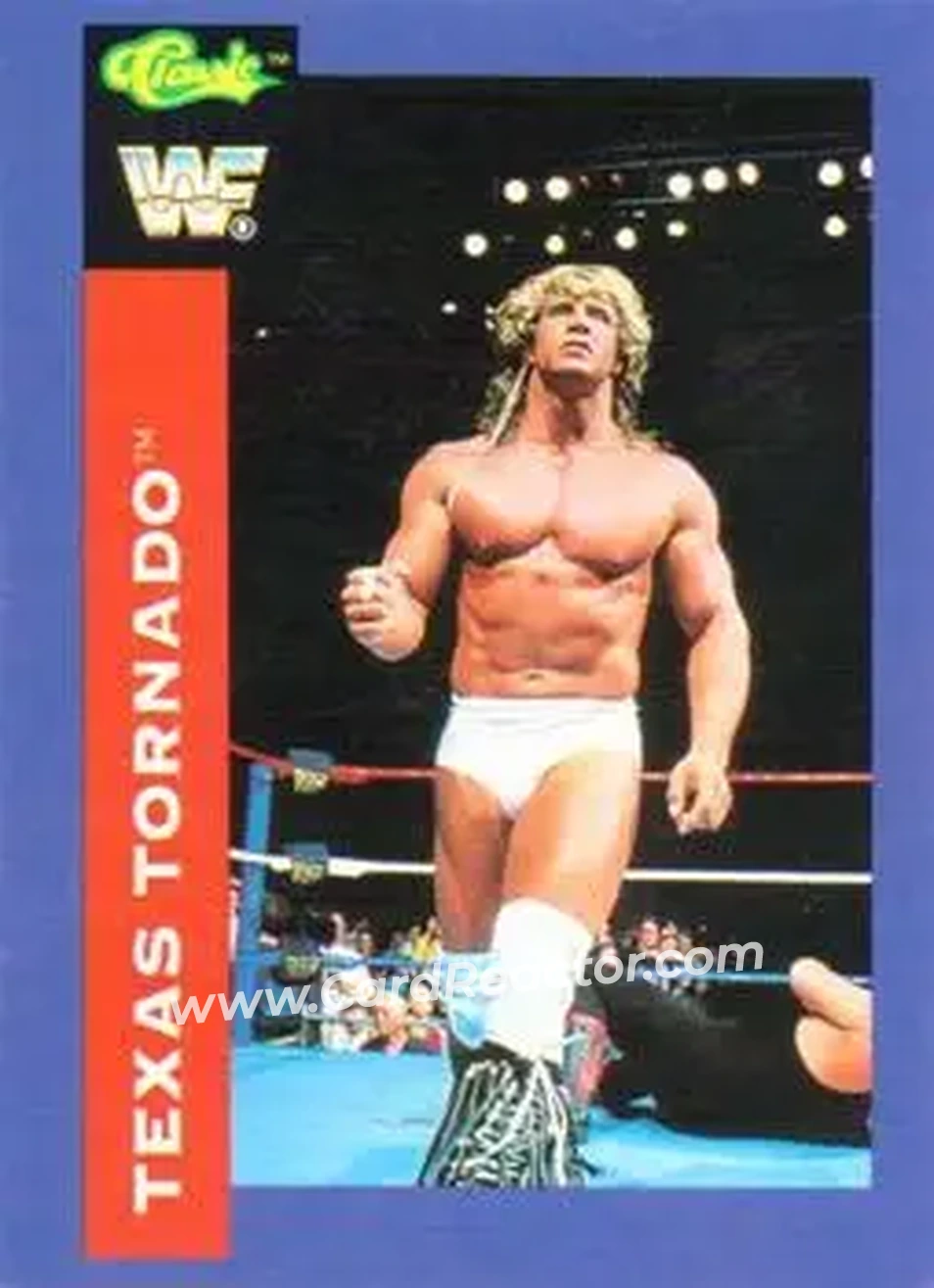 1991 Classic WWF Superstars #3 - Kerry Von Erich