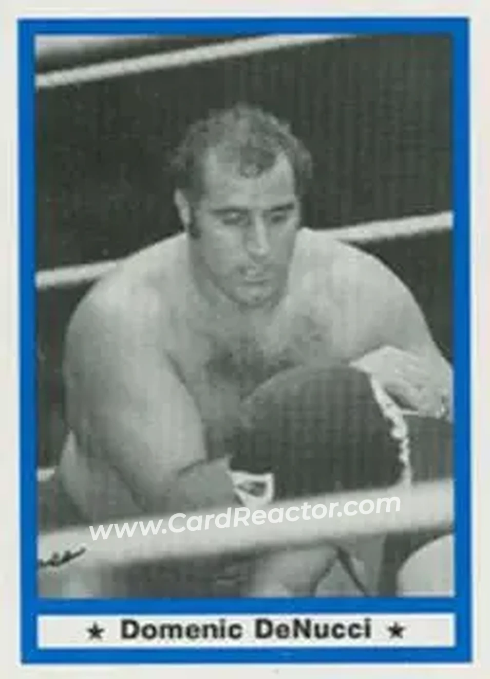 1991 Imagine Wrestling Legends #8 - Dominic DeNucci