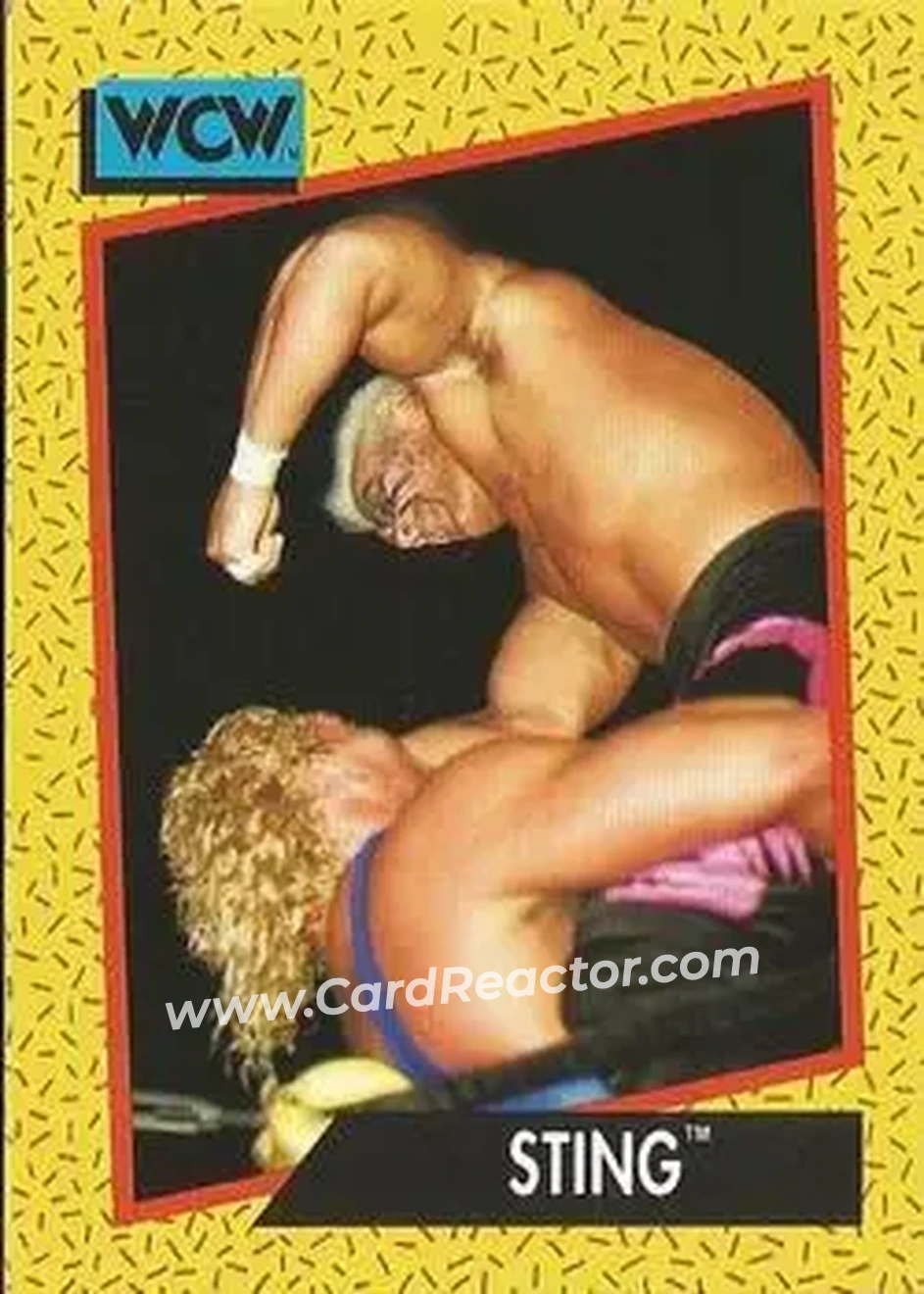 1991 Impel WCW #5 - Sting