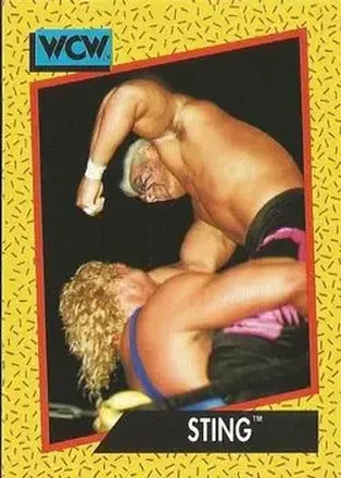 1991 Impel WCW #5 - Sting