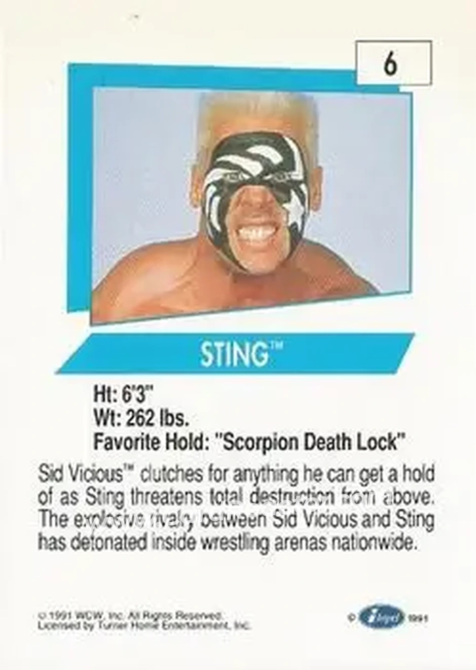 1991 Impel WCW #6 - Sting 1991 Impel WCW #6 - Sting