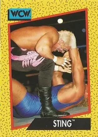1991 Impel WCW #6 - Sting