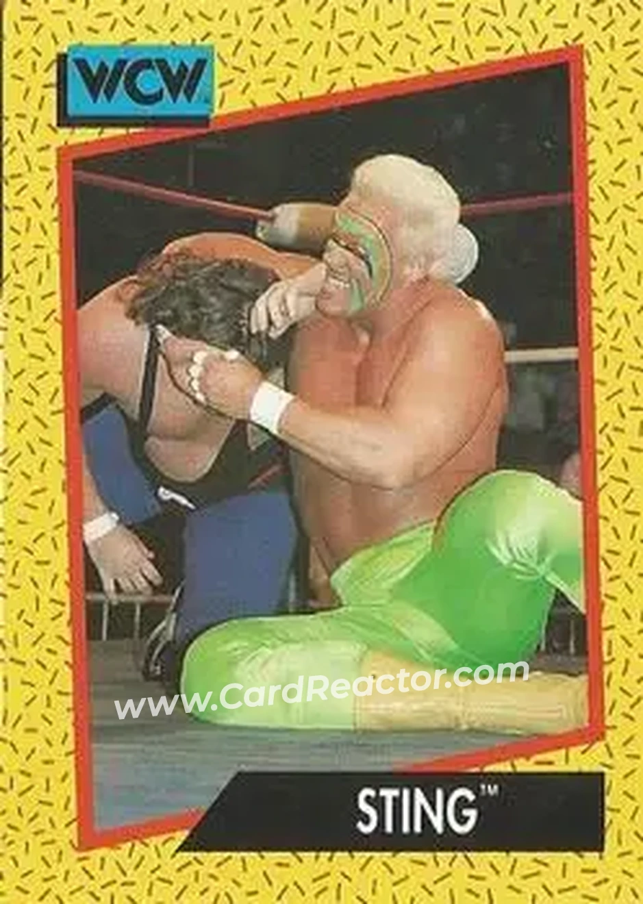 1991 Impel WCW #8 - Sting 1991 Impel WCW #8 - Sting