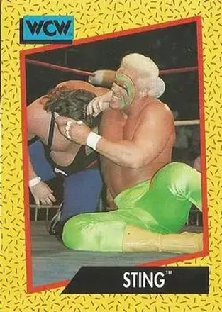 1991 Impel WCW #8 - Sting