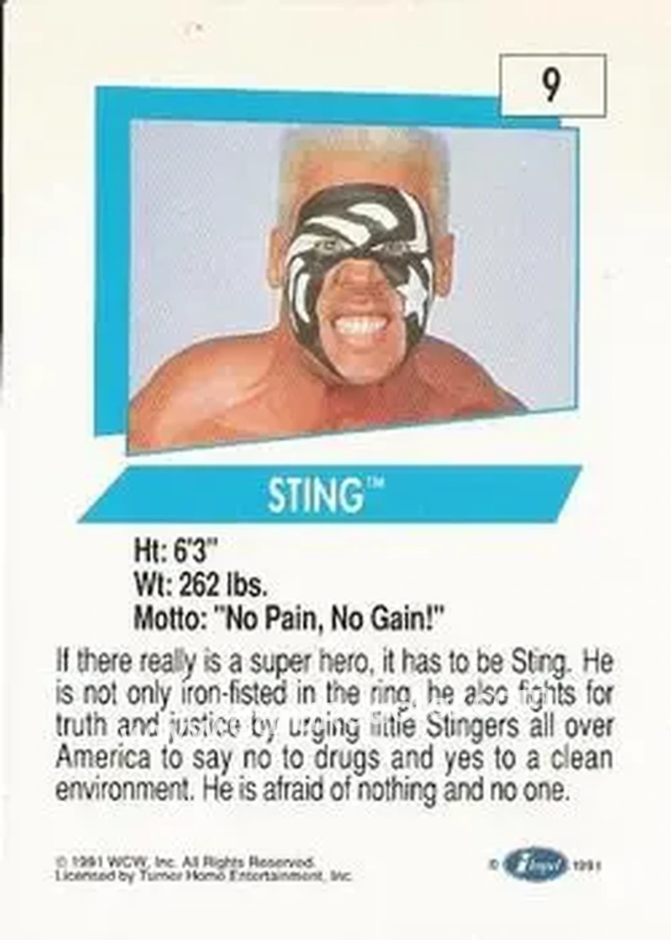 1991 Impel WCW #9 - Sting 1991 Impel WCW #9 - Sting