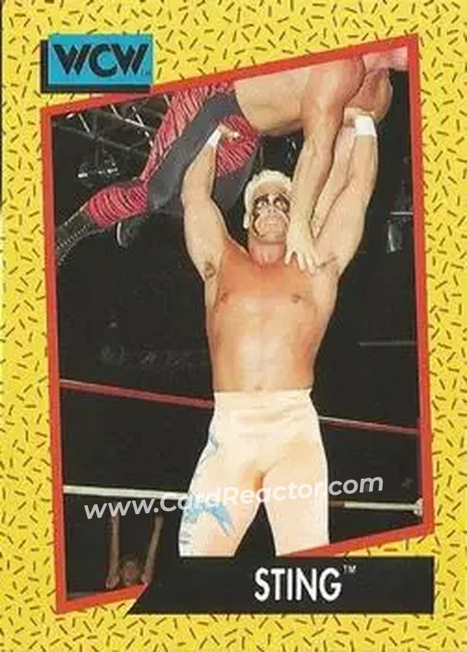 1991 Impel WCW #9 - Sting 1991 Impel WCW #9 - Sting