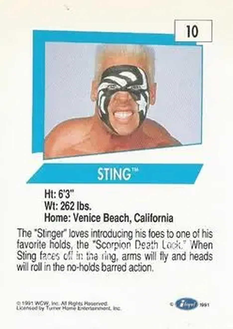 1991 Impel WCW #10 - Sting 1991 Impel WCW #10 - Sting