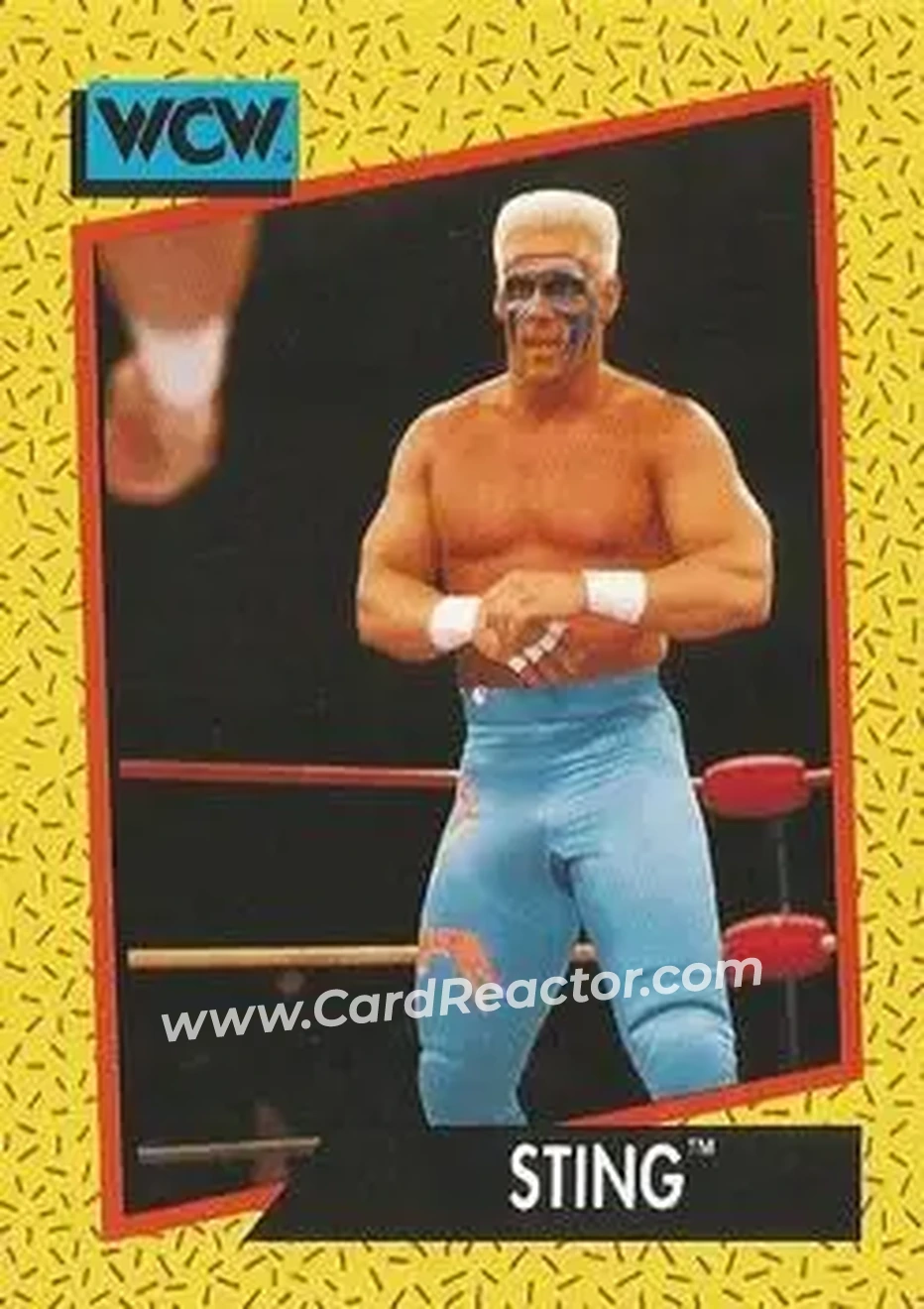 1991 Impel WCW #10 - Sting 1991 Impel WCW #10 - Sting