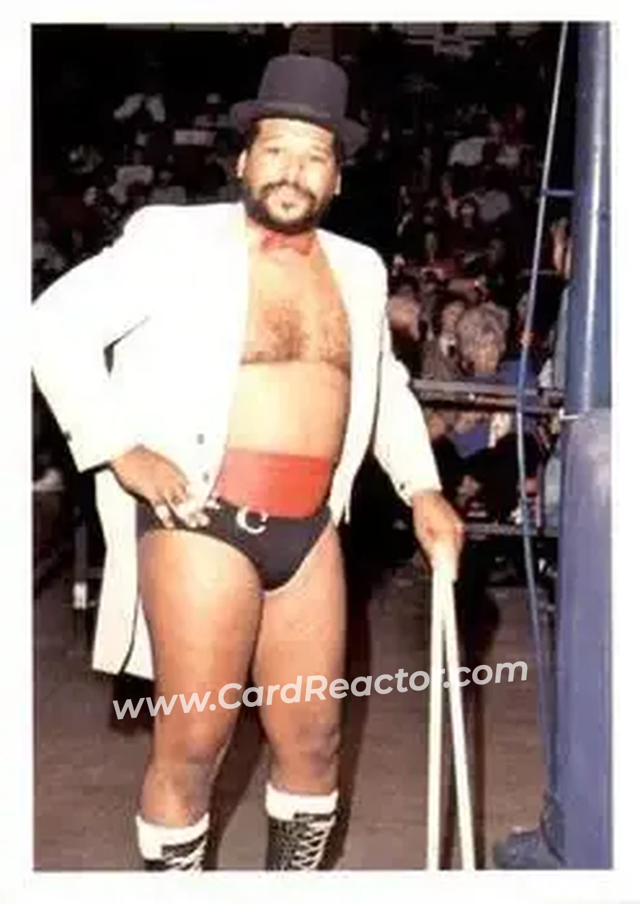 1988 Wonderama NWA #178 - Card #178