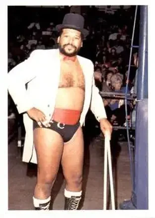 1988 Wonderama NWA #178 - Card #178