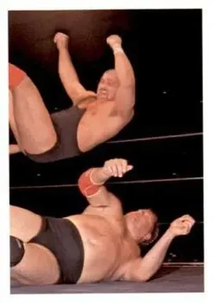 1988 Wonderama NWA #179 - Nikita Koloff