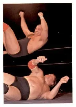 1988 Wonderama NWA #179 - Nikita Koloff