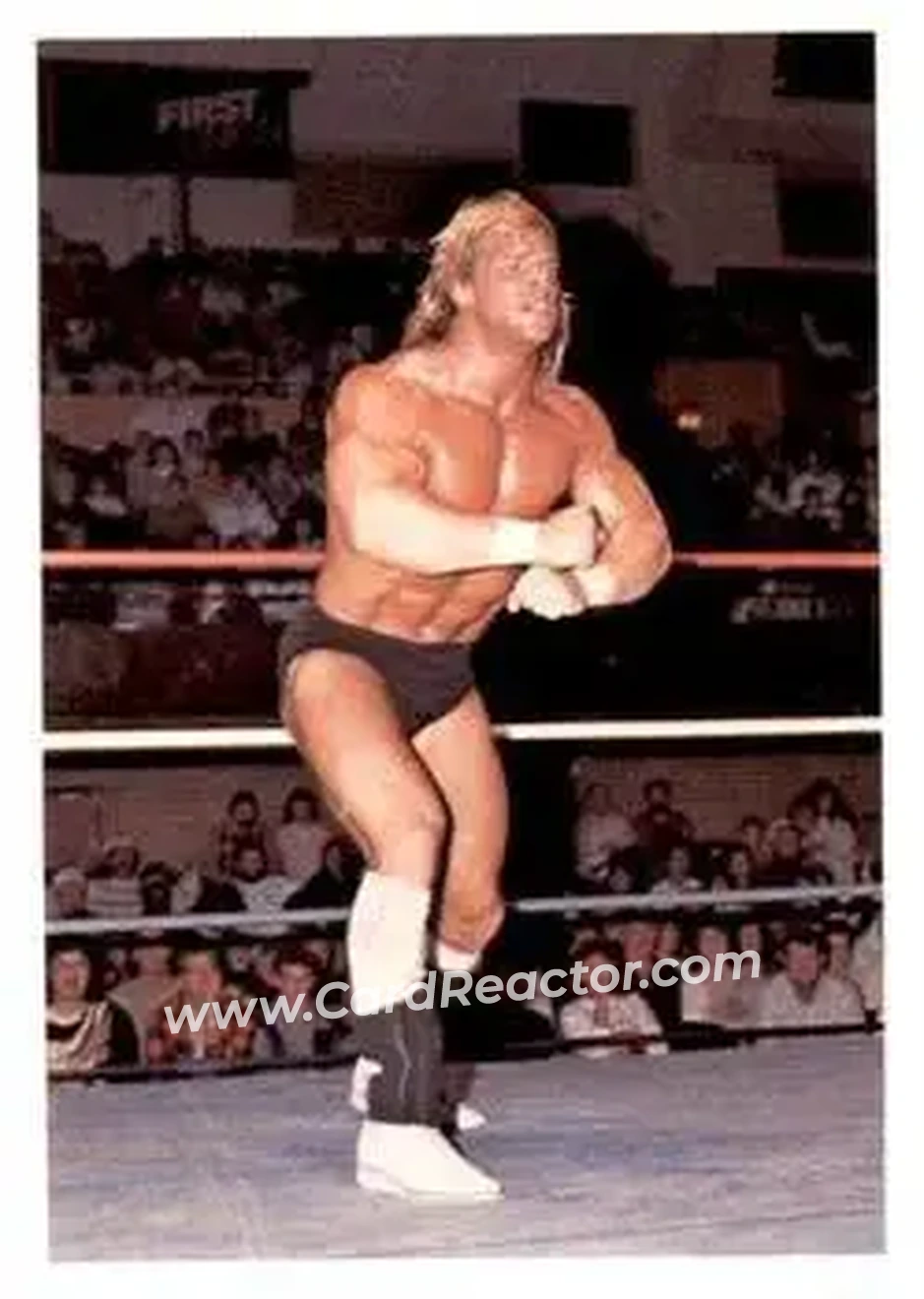 1988 Wonderama NWA #183 - Lex Luger