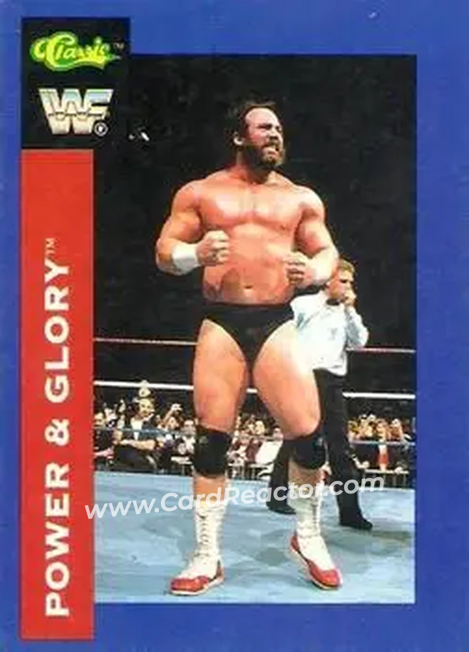 1991 Classic WWF Superstars #14 - Power & Glory