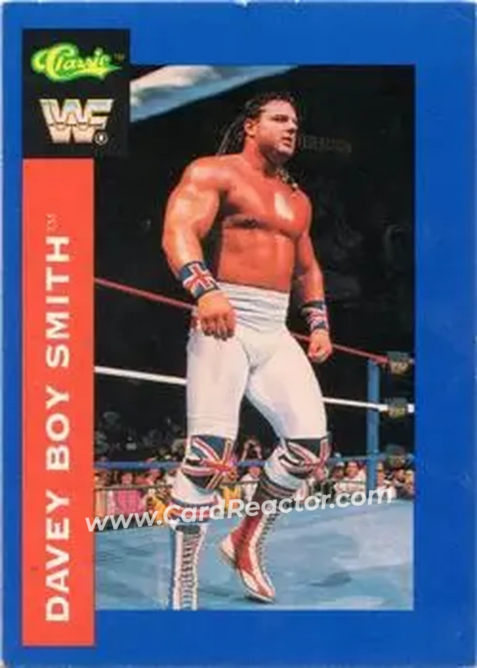 1991 Classic WWF Superstars #19 - Davey Boy Smith