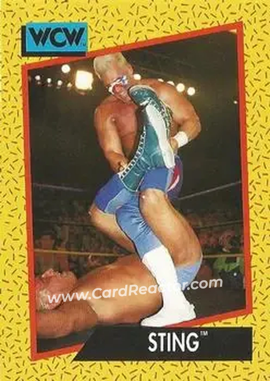 1991 Impel WCW #11 - Sting