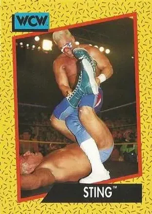 1991 Impel WCW #11 - Sting