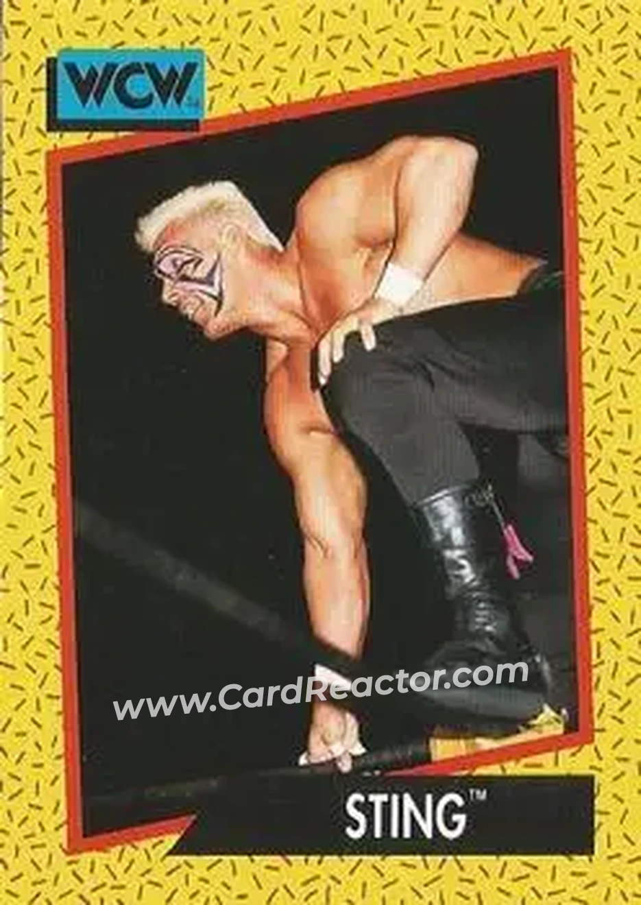 1991 Impel WCW #13 - Sting 1991 Impel WCW #13 - Sting