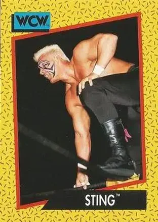1991 Impel WCW #13 - Sting