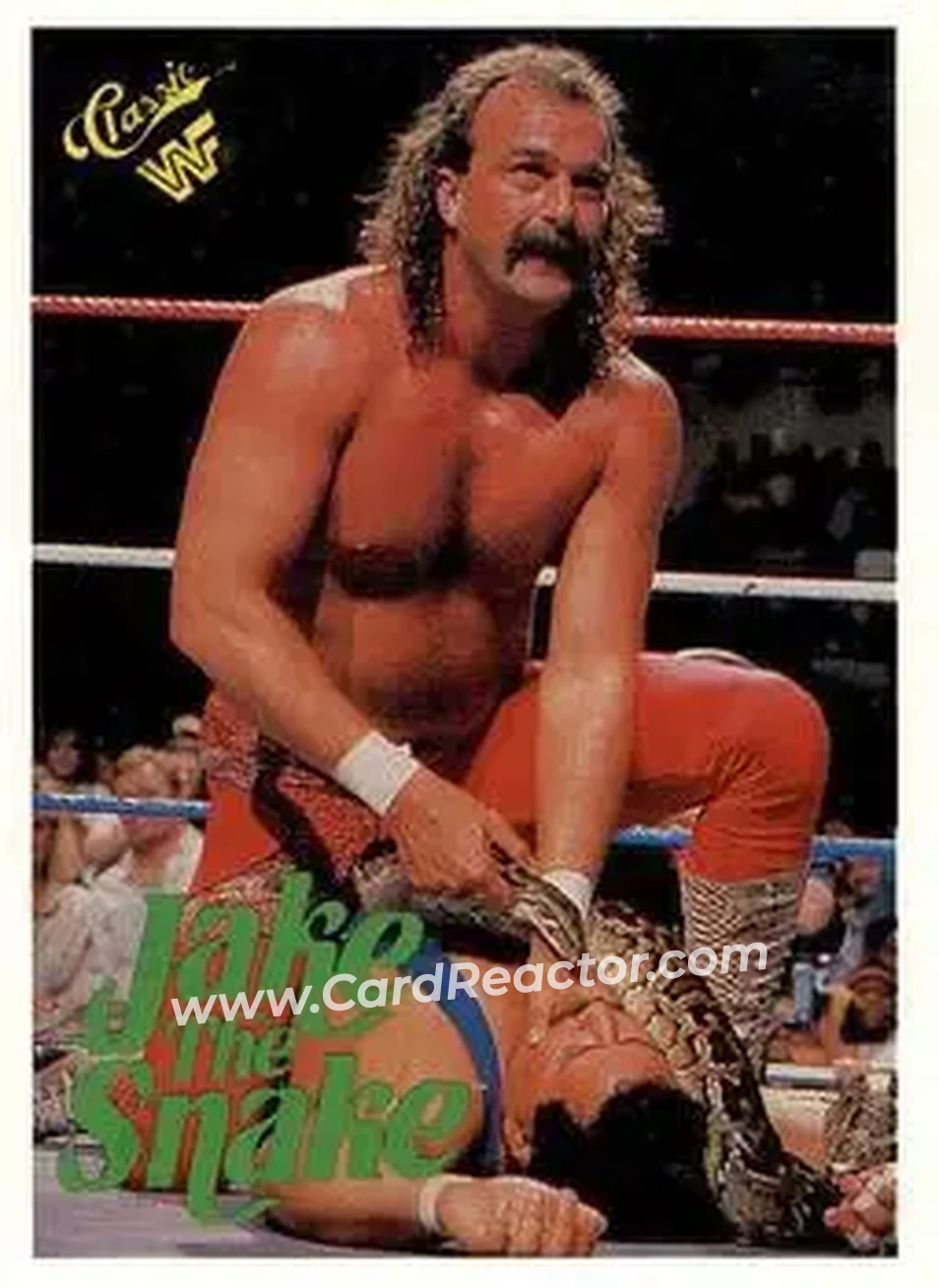 1990 Classic WWF #108 - Jake "The Snake" Roberts