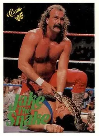 1990 Classic WWF #108 - Jake "The Snake" Roberts