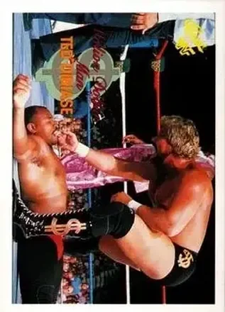 1990 Classic WWF #109 - "The Million Dollar Man" Ted DiBiase 1990 Classic WWF #109 - "The Million Dollar Man" Ted DiBiase