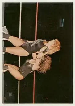 1988 Wonderama NWA #188 - Card #188