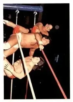 1988 Wonderama NWA #189 - Card #189