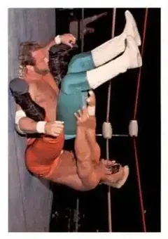 1988 Wonderama NWA #191 - Card #191