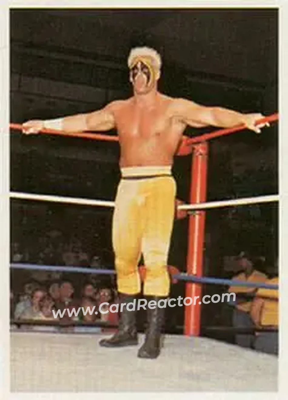 1988 Wonderama NWA #194 - Sting