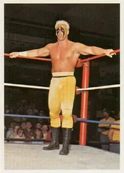 1988 Wonderama NWA #194 - Sting