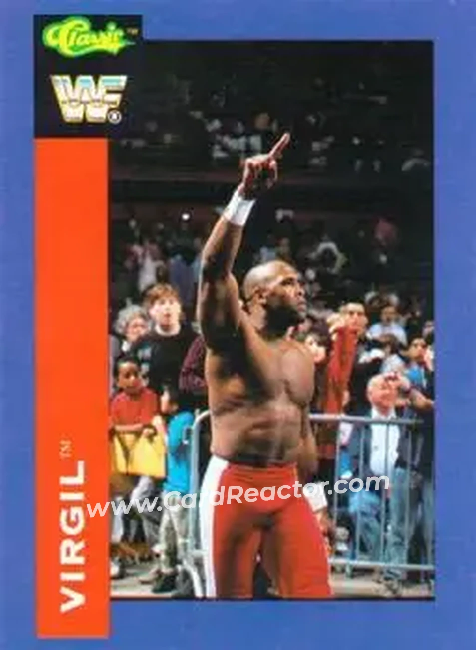 1991 Classic WWF Superstars #22 - Virgil