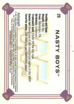 1991 Classic WWF Superstars #23 - The Nasty Boys - Back