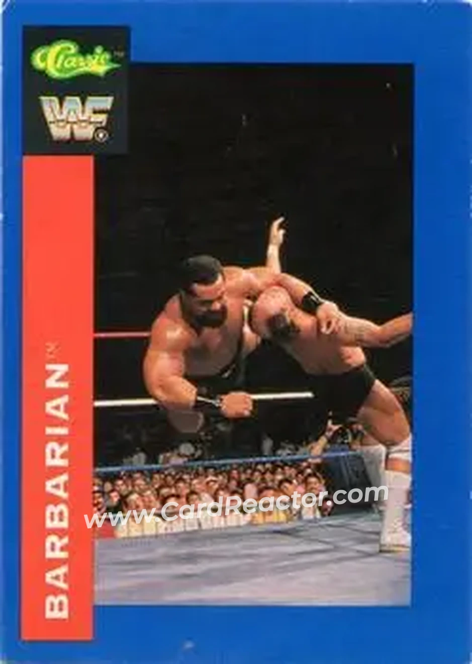 1991 Classic WWF Superstars #27 - Barbarian