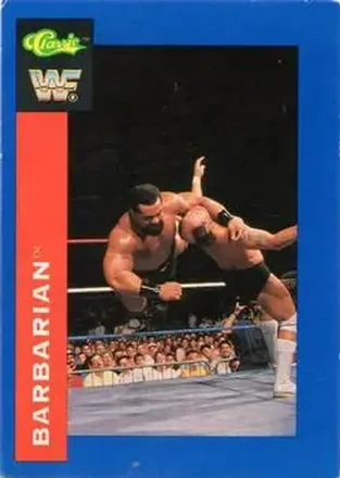1991 Classic WWF Superstars #27 - Barbarian 1991 Classic WWF Superstars #27 - Barbarian