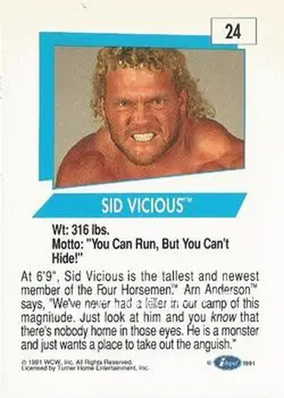 1991 Impel WCW #24 - Sid Vicious 1991 Impel WCW #24 - Sid Vicious