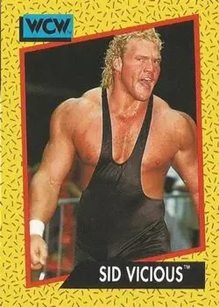 1991 Impel WCW #24 - Sid Vicious