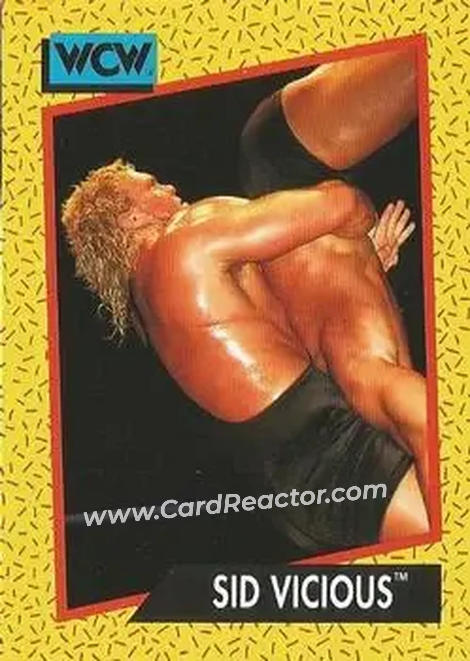 1991 Impel WCW #25 - Sid Vicious 1991 Impel WCW #25 - Sid Vicious