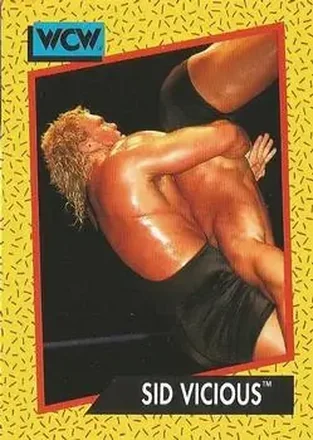 1991 Impel WCW #25 - Sid Vicious