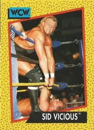 1991 Impel WCW #27 - Sid Vicious