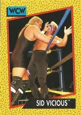 1991 Impel WCW #28 - Sid Vicious