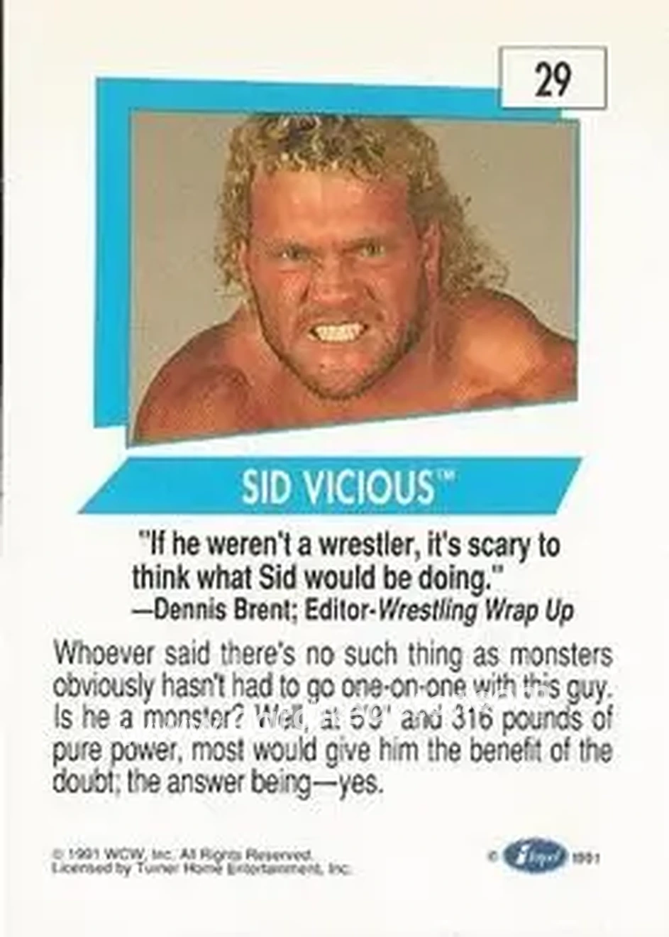 1991 Impel WCW #29 - Sid Vicious 1991 Impel WCW #29 - Sid Vicious