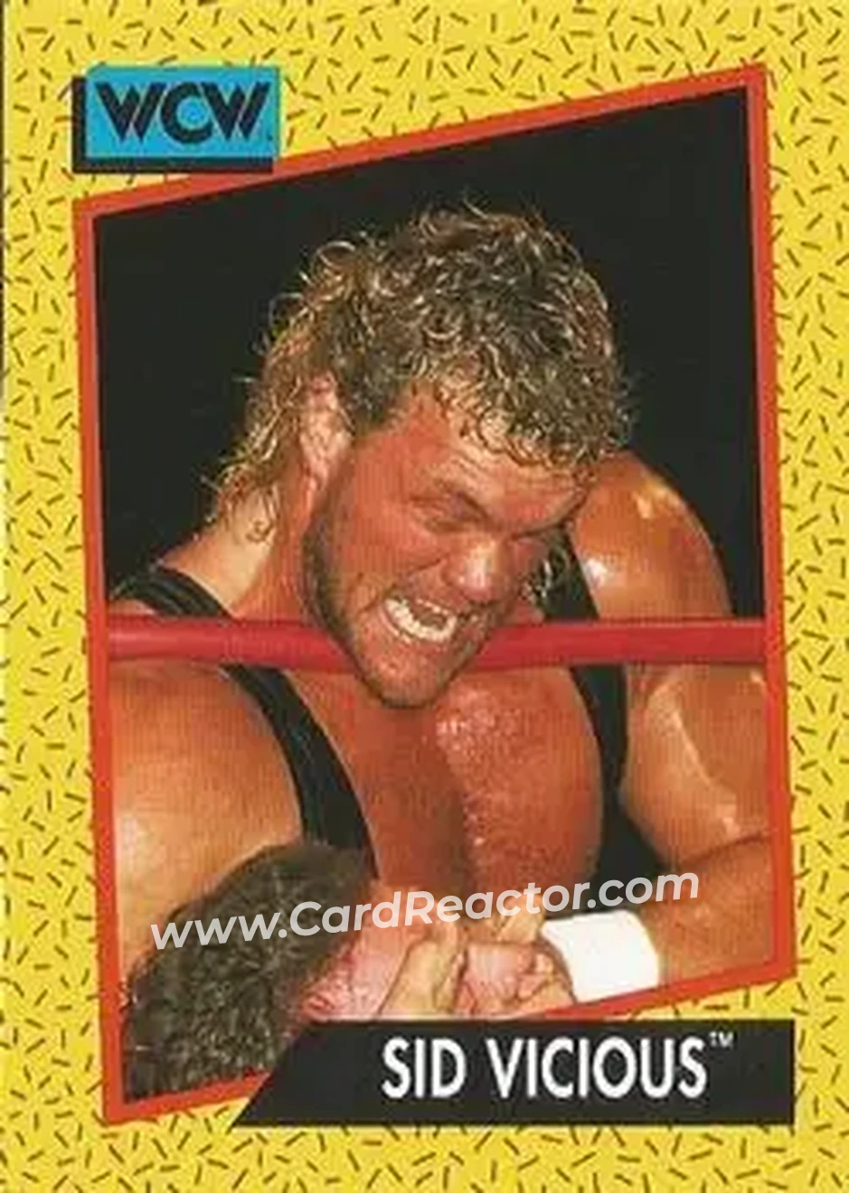 1991 Impel WCW #29 - Sid Vicious 1991 Impel WCW #29 - Sid Vicious
