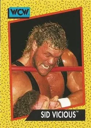1991 Impel WCW #29 - Sid Vicious
