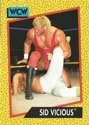 1991 Impel WCW #30 - Sid Vicious