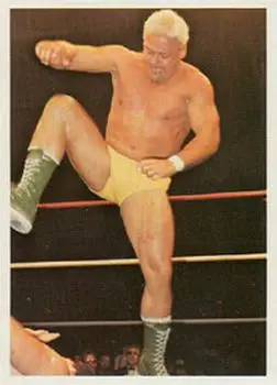 1988 Wonderama NWA #200 - Rugged Ronnie Garvin 1988 Wonderama NWA #200 - Rugged Ronnie Garvin