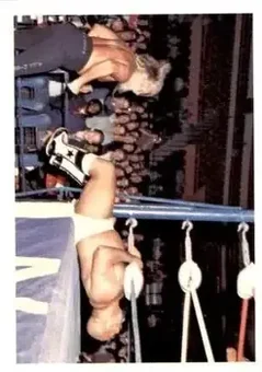 1988 Wonderama NWA #201 - Jimmy Valiant 1988 Wonderama NWA #201 - Jimmy Valiant