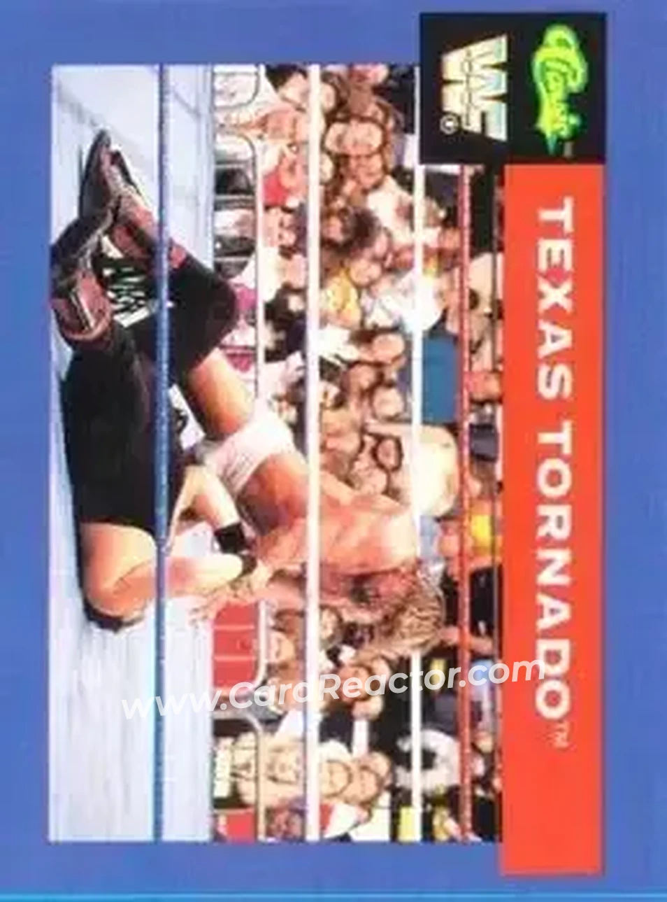 1991 Classic WWF Superstars #37 - Kerry Von Erich