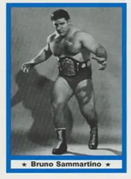 1991 Imagine Wrestling Legends #24 - Bruno Sammartino - Front 1991 Imagine Wrestling Legends #24 - Bruno Sammartino - Front