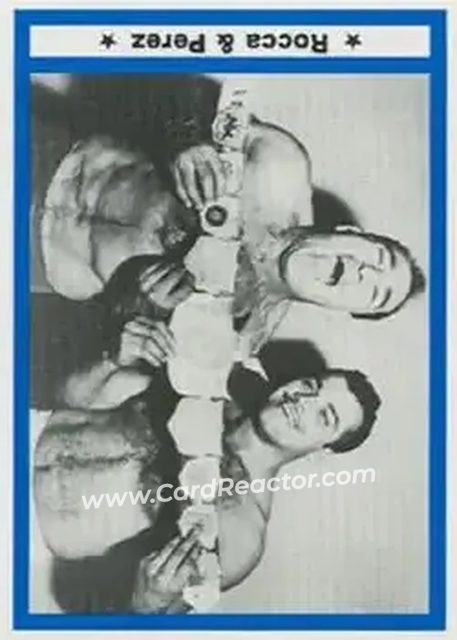 1991 Imagine Wrestling Legends #29 - Card #29